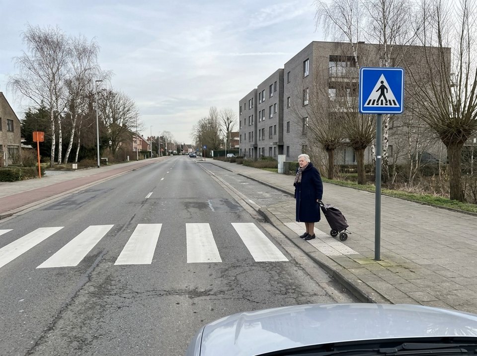 The blue traffic sign is placed at the pedestrian crossing. An elderly woman in a navy coat with a shopping trolley is standing at the zebra crossing.